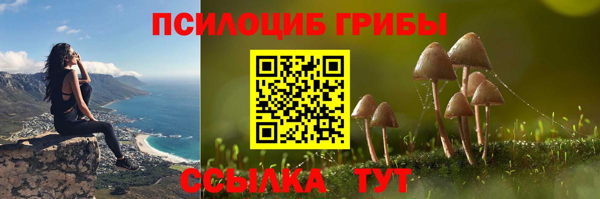 Псилоцибиновые грибы Psilocybine cubensis  что такое   Барабинск  Вход с VPN 